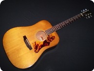 Gibson J55 1975 Natural