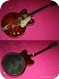 Gretsch Country Gentleman (#GRE0326) 1962
