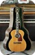 Epiphone FT-110 1954