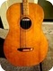 Ernie Ball Earthwood Guitar 1972
