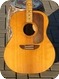 Ernie Ball Earthwood Flattop 1972-Natural
