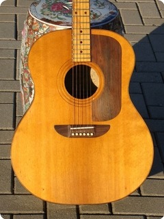 Ernie Ball Earthwood Flattop 1972 Natural