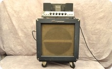 Ampeg B15NF 1967 Blue Checked Tolex