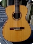 CFOX Concert Sierra Nylon OM Electric Classical 2006 Brazilian