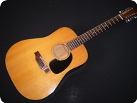 Martin D12 18 1974 Natural