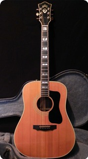 Guild D 55 1983