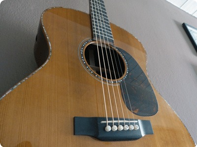 C.f. Martin Cs Gp 14 2015 Natural Torrefied