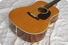 Martin D 28 1967 Natural