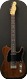 Fender Telebration Lite Rosewood  2012