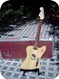 Woody Woodcasters-TeleWoodyBird-2013-Natural Nitrocelulouse