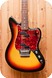 Fender Electric XII 1966 Target Burst Sunburst