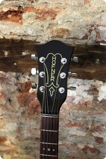 Hofner Compensator 1961 Sunburst