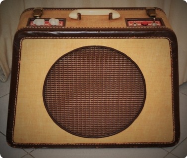 Got My Mojo Working Suitcase Amp 2015