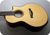 DAVID TAYLOR DT GUITARS DELAROSA 2008