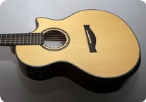 DAVID TAYLOR DT GUITARS DELAROSA 2008