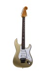 Dommenget Mastercaster 2015 Gold