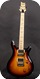 PRS Paul Reed Smith Swamp Ash Special Birds 2008-3ts Sunburst