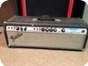 Fender Bassman 100 1974