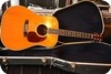 Martin D 35 1972 Natural