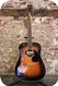 Levin LN-26 1969-Sunburst