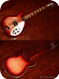 Rickenbacker 360-12  (#RIE0368) 1966-Fireglo