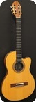 Gibson Chet Atkins CE 1989