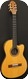 Gibson Chet Atkins CE 1989