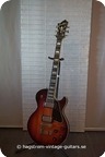 Hagstrom Super Swede 1979 Brownburst