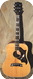 Gibson Dove Custom 1973 Sunburst