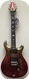 PRS Paul Reed Smith Wood Library Ltd Edition Standard 24 2016-Solar Foil