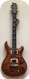 PRS Paul Reed Smith McCarty Wood Library Satin 2016-Copperhead (Satin)