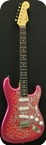 Tokai TST 70 PRR Paisley Stratocaster 2014