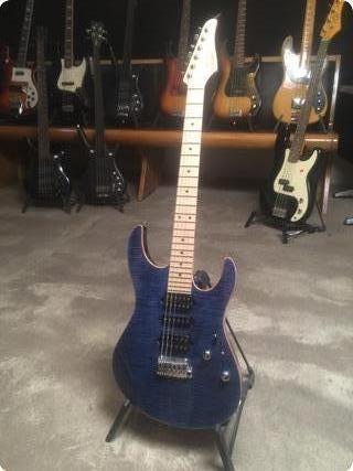 Suhr Pro Series See Picture For More Information