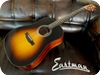 Eastman Guitars E10D 2016