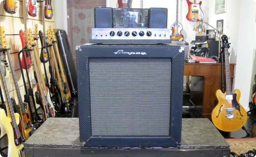 Ampeg B15nf 1966 Blue Checked Tolex