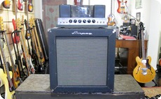 Ampeg B15NF 1966 Blue Checked Tolex