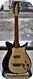 Rickenbacker Combo 1000 1964 Black