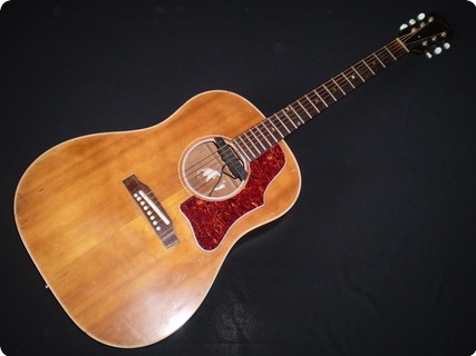 Gibson J50 1966 Natural
