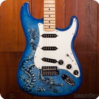 Fender Stratocaster 2015 Custom Graphic