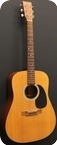 Martin D 18 2008