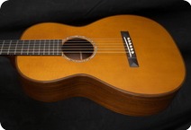 C. F. Martin MARTIN CUSTOM SHOP 02840 LIMITED EDITION AMAZON ROSEWOOD