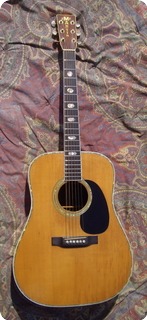 Martin D41  D 41 1973 Natural