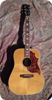 Gibson Hummingbird 1976 Natural