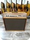 Acoustic 165 JBL M1 Series 1x12 Combo W/custom Made 2x12 Extension Cabine 1980