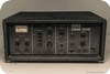 Korg Stage Echo SE300