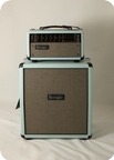 Mesa Boogie Mark V 25 Head 2017 Custom Baby Blue