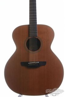 Takamine Sen 20 12 12 String 1993