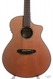 Breedlove Pursuit Concert Mint 2014