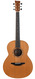 Mcilroy AS55 16th Anniversary Bubinga Western Red Cedar 2016 Mcilroy AS55 16th Anniversary Bubinga Western Red Cedar 2016