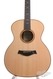 Taylor 514E Fall Limited Edition Mint 2013